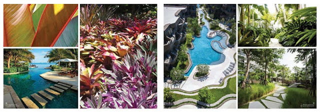 khu&ocirc;n vi&ecirc;n premier residences ph&uacute; quốc emerald bay