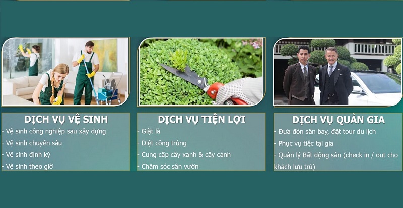 dịch vụ sun tropical village